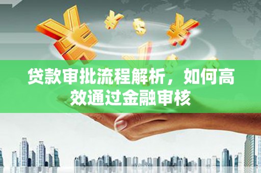 复兴贷款审批流程解析，如何高效通过金融审核