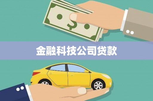 复兴金融科技公司贷款