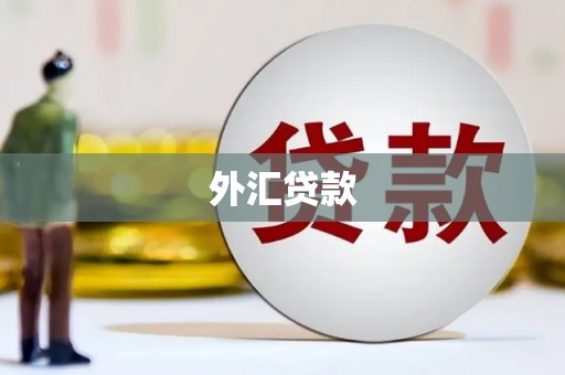 复兴外汇贷款