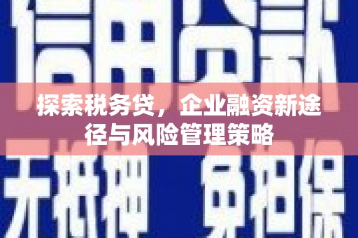 复兴探索税务贷，企业融资新途径与风险管理策略