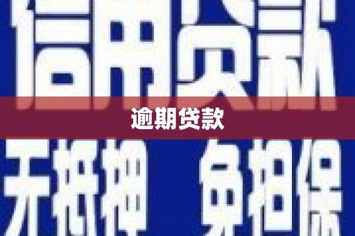 复兴逾期贷款