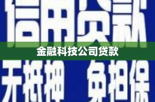 复兴金融科技公司贷款