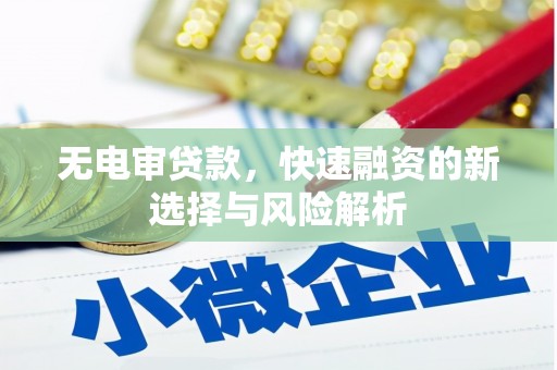 复兴无电审贷款，快速融资的新选择与风险解析