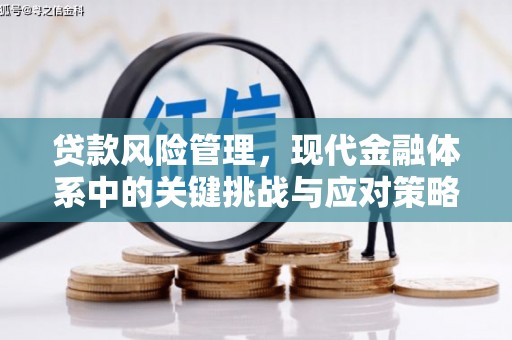 复兴贷款风险管理，现代金融体系中的关键挑战与应对策略
