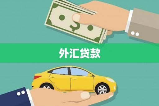 复兴外汇贷款