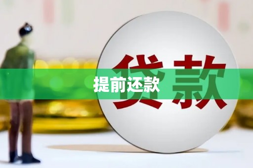 复兴提前还款