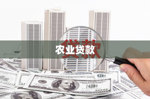 复兴农业贷款