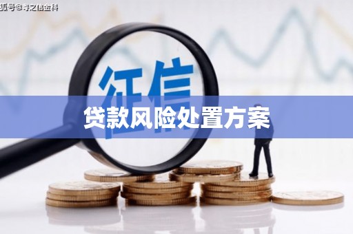 复兴贷款风险处置方案