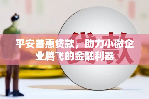 复兴平安普惠贷款，助力小微企业腾飞的金融利器