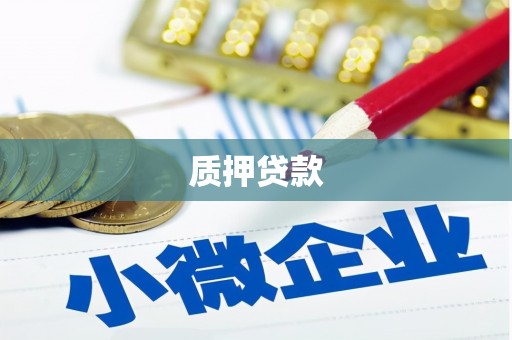 复兴质押贷款