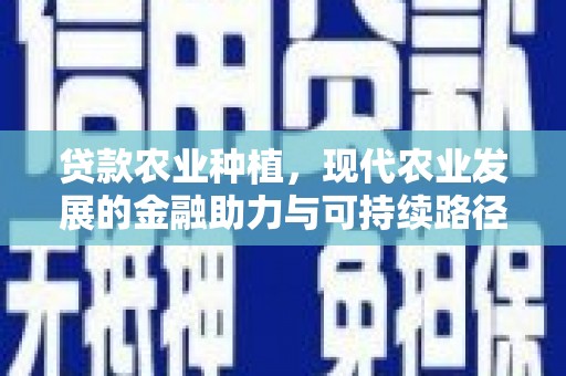 复兴贷款农业种植，现代农业发展的金融助力与可持续路径