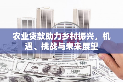 复兴农业贷款助力乡村振兴，机遇、挑战与未来展望