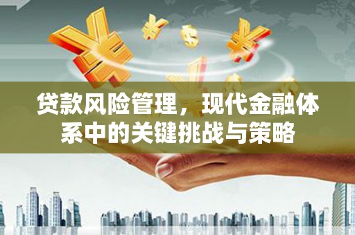 复兴贷款风险管理，现代金融体系中的关键挑战与策略