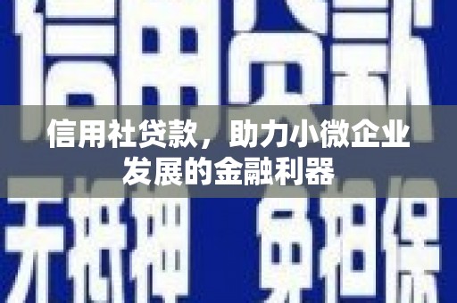复兴信用社贷款，助力小微企业发展的金融利器