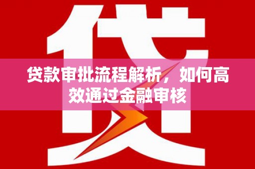 复兴贷款审批流程解析，如何高效通过金融审核