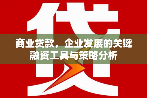 复兴商业贷款，企业发展的关键融资工具与策略分析