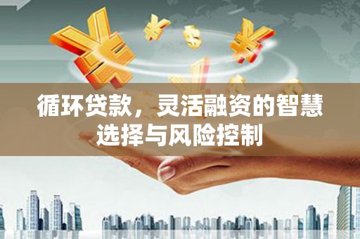 复兴循环贷款，灵活融资的智慧选择与风险控制