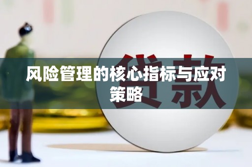 复兴风险管理的核心指标与应对策略