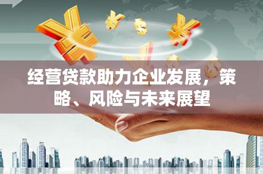 复兴经营贷款助力企业发展，策略、风险与未来展望