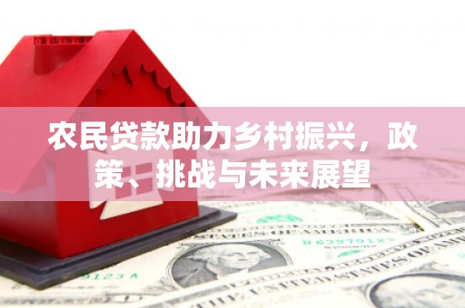 复兴农民贷款助力乡村振兴，政策、挑战与未来展望