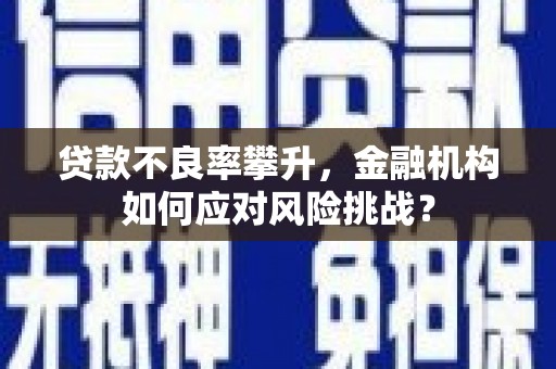 复兴贷款不良率攀升，金融机构如何应对风险挑战？