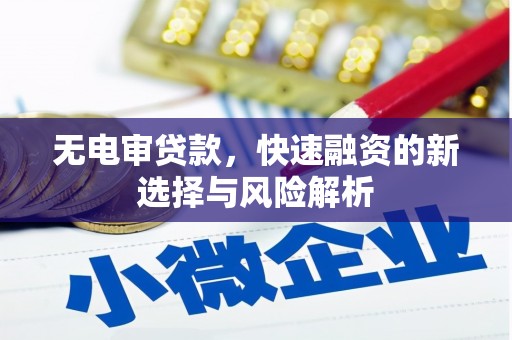 复兴无电审贷款，快速融资的新选择与风险解析