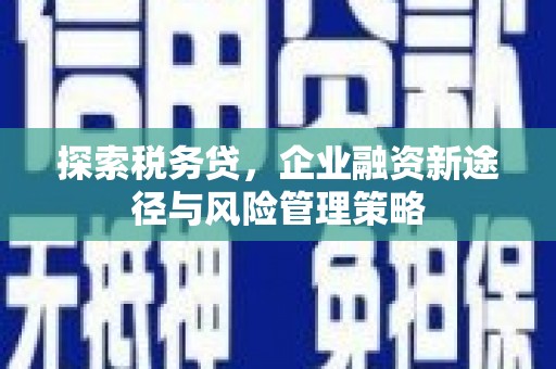 复兴探索税务贷，企业融资新途径与风险管理策略
