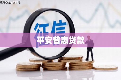 复兴平安普惠贷款