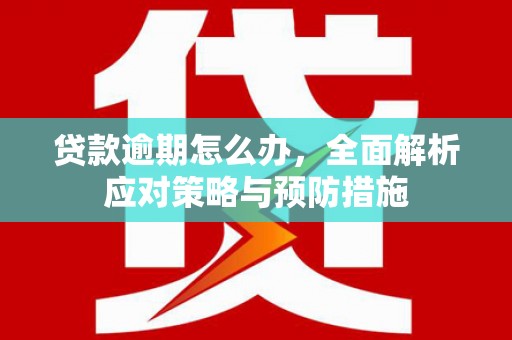 复兴贷款逾期怎么办，全面解析应对策略与预防措施