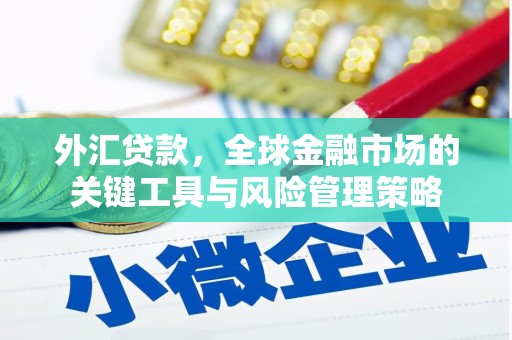 复兴外汇贷款，全球金融市场的关键工具与风险管理策略
