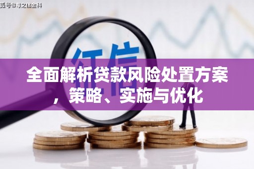 复兴全面解析贷款风险处置方案，策略、实施与优化