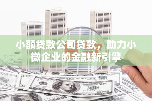 复兴小额贷款公司贷款，助力小微企业的金融新引擎