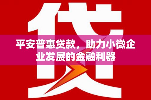 复兴平安普惠贷款，助力小微企业发展的金融利器