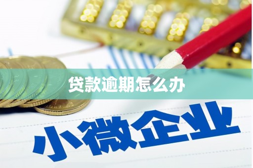复兴贷款逾期怎么办