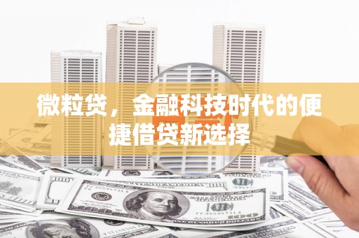 复兴微粒贷，金融科技时代的便捷借贷新选择