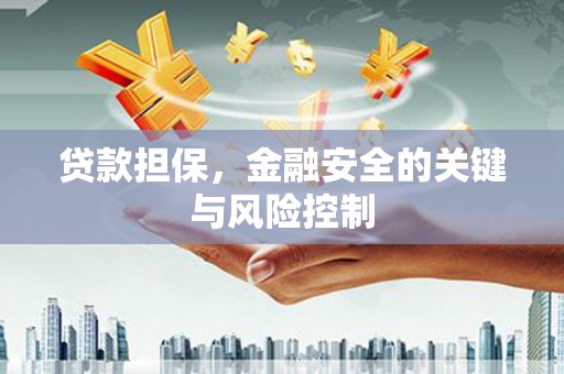 复兴贷款担保，金融安全的关键与风险控制