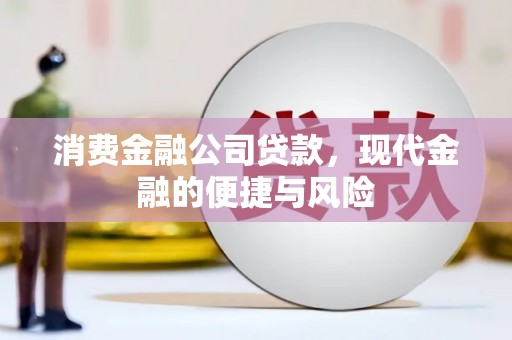 复兴消费金融公司贷款，现代金融的便捷与风险