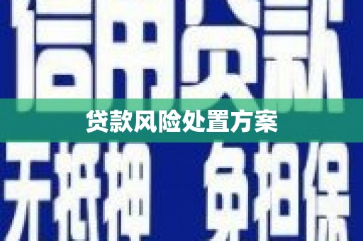 复兴贷款风险处置方案