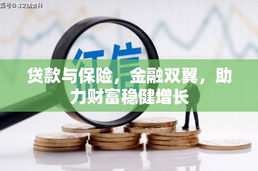 复兴贷款与保险，金融双翼，助力财富稳健增长