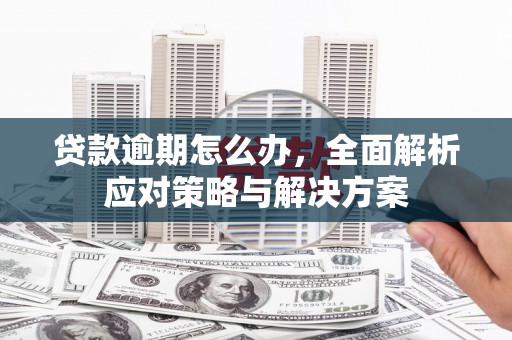 复兴贷款逾期怎么办，全面解析应对策略与解决方案