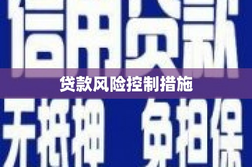 复兴贷款风险控制措施
