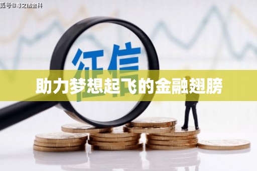 复兴助力梦想起飞的金融翅膀