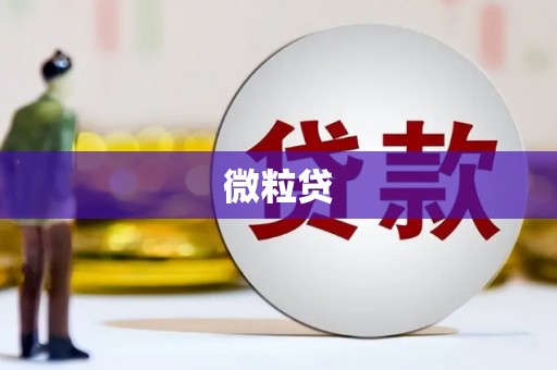 复兴微粒贷