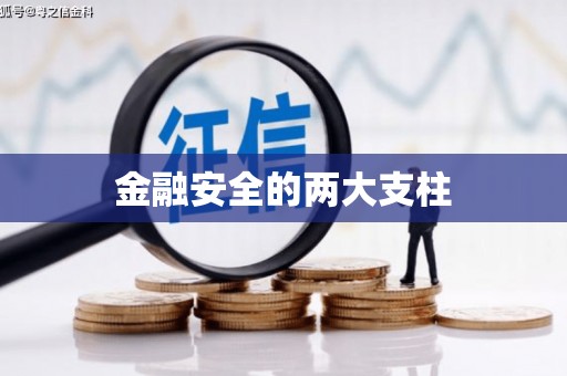 复兴金融安全的两大支柱