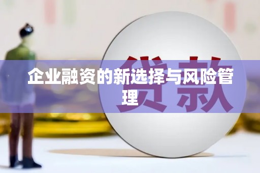 复兴企业融资的新选择与风险管理