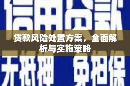 复兴贷款风险处置方案，全面解析与实施策略