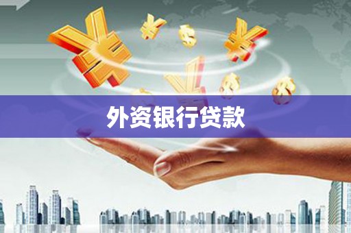 复兴外资银行贷款