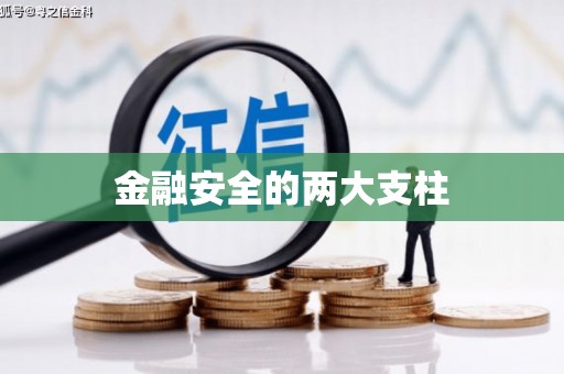复兴金融安全的两大支柱