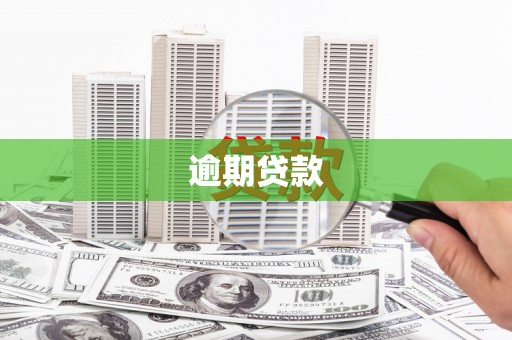 复兴逾期贷款