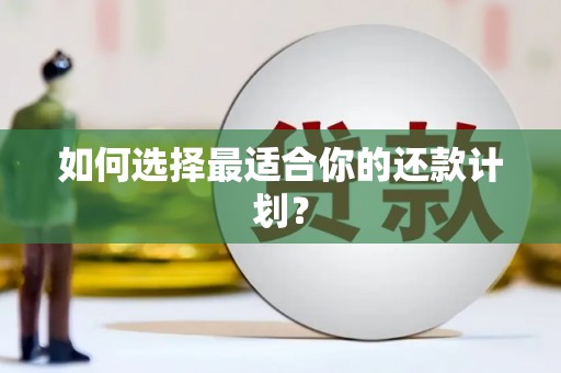 复兴如何选择最适合你的还款计划？